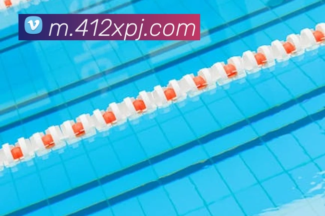 新葡京线上娱乐发展历程